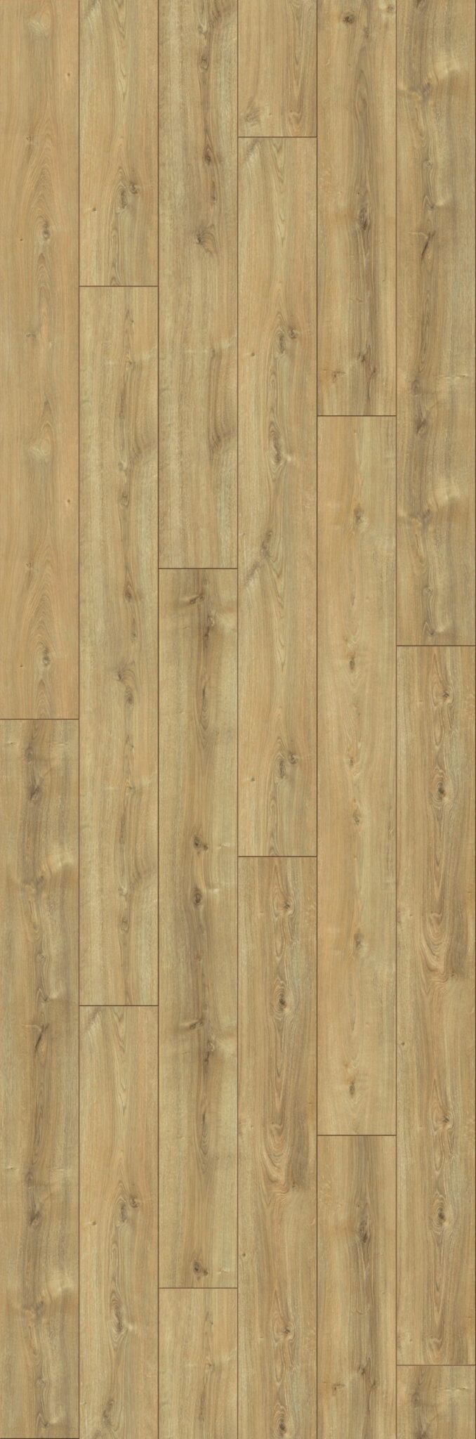 Nebraska – Image 2