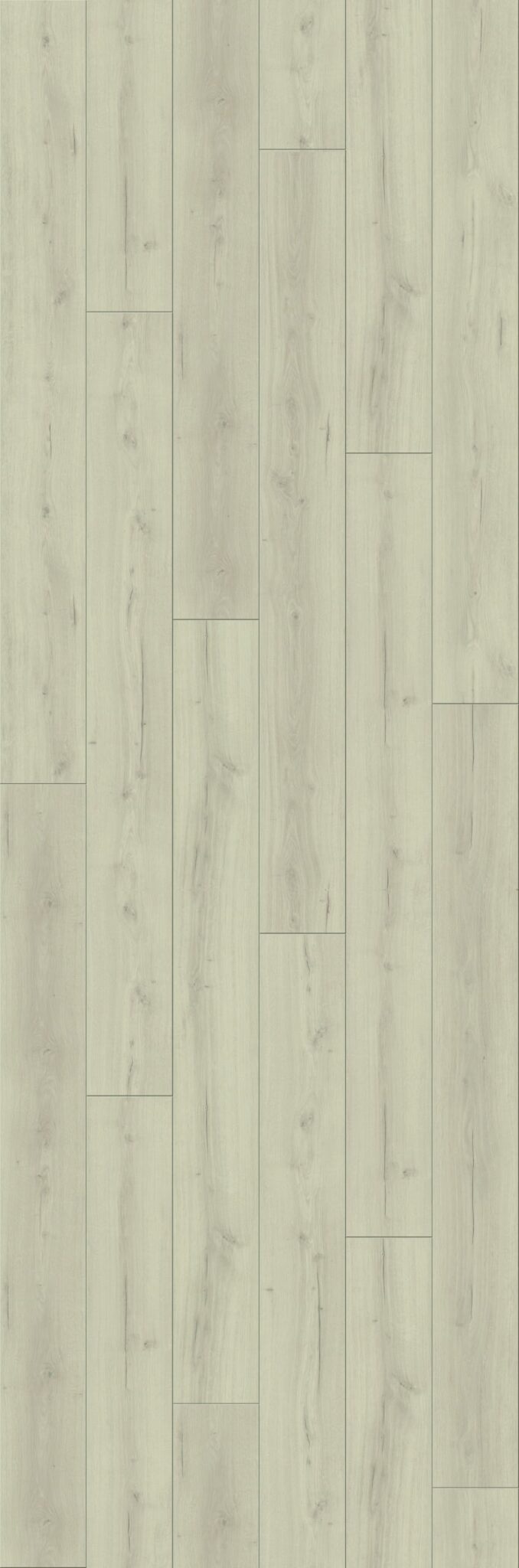 Rolls Blanc – Image 2
