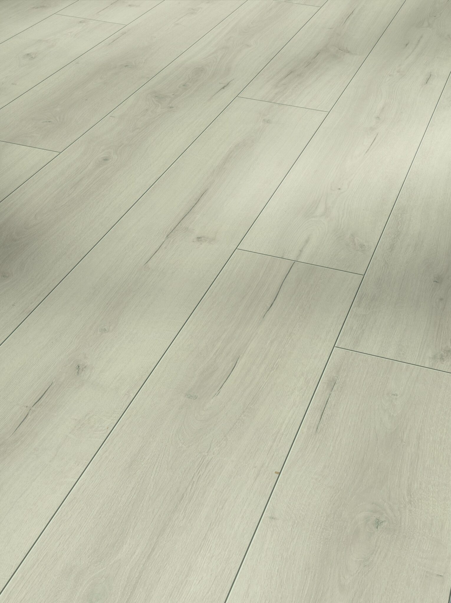 Rolls Blanc – Image 3