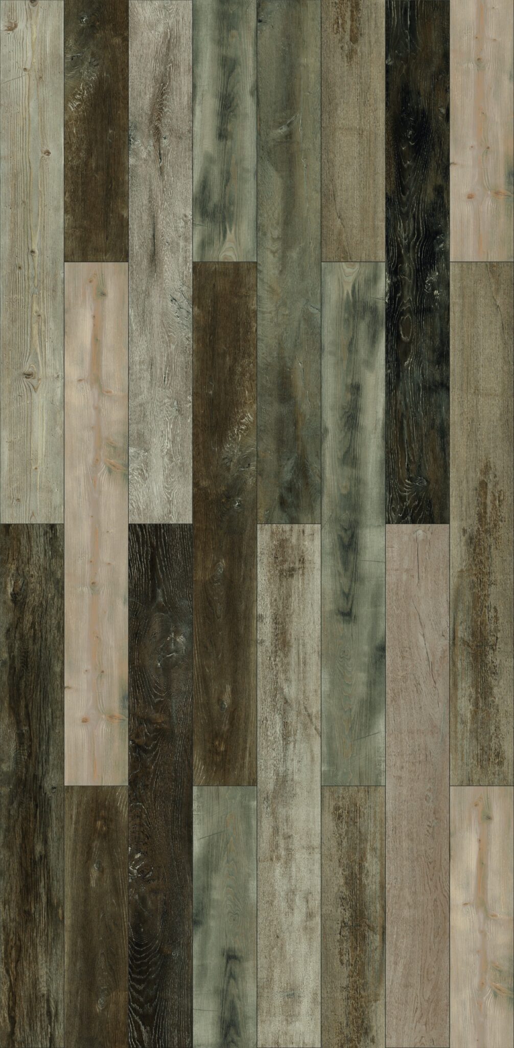 Sagamore – Image 3